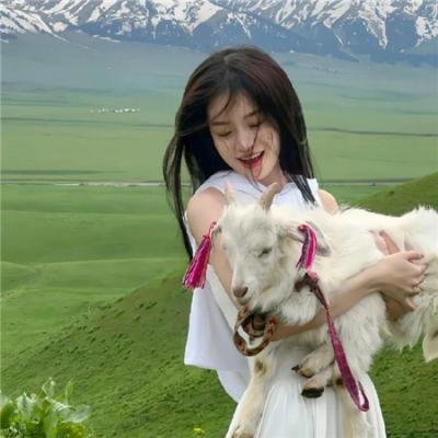 小岛奇谭